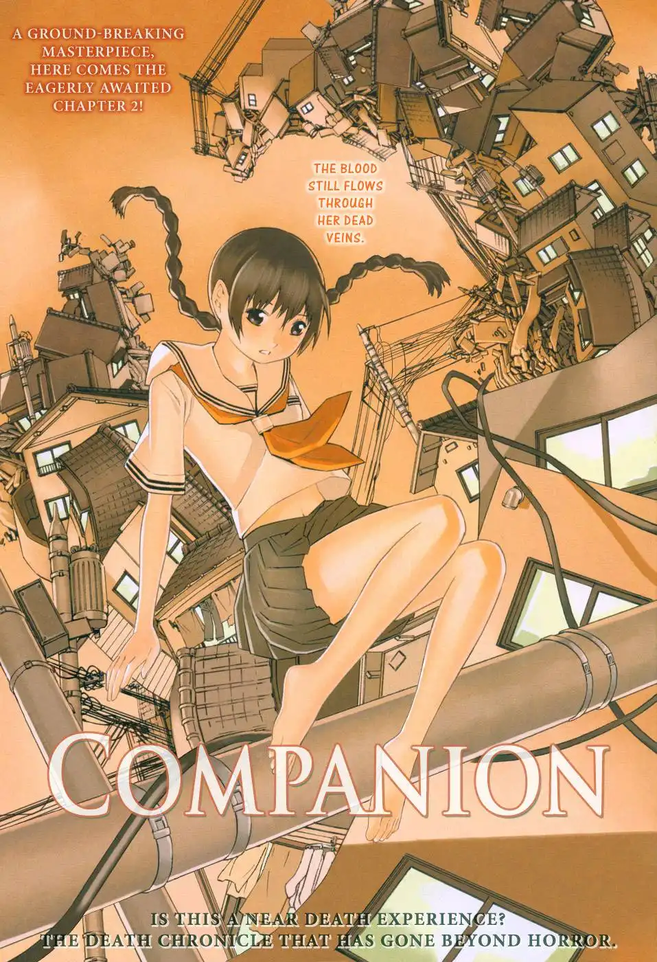 Companion Chapter 2