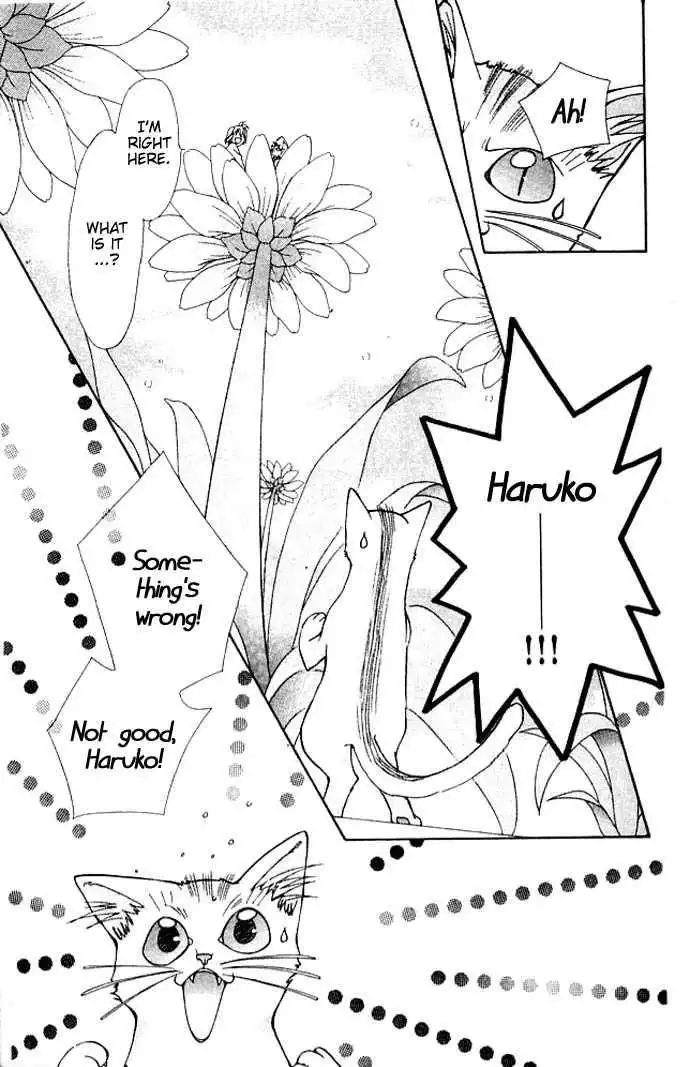 Cosmo na Bokura! Chapter 4