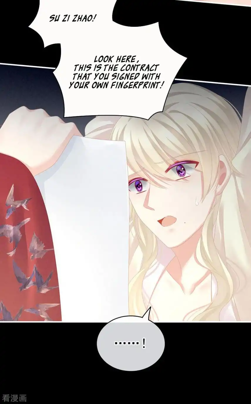 Empress's Harem Chapter 108