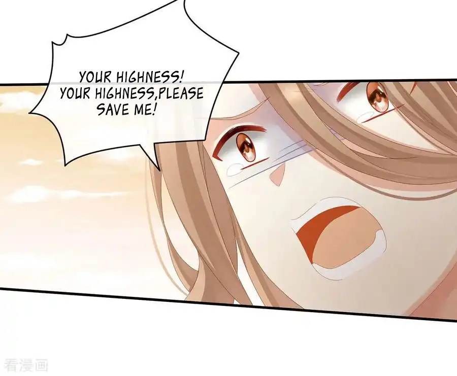 Empress's Harem Chapter 84