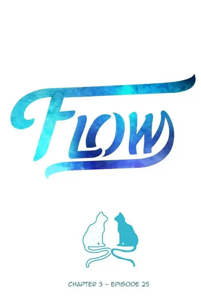 Flow Chapter 91