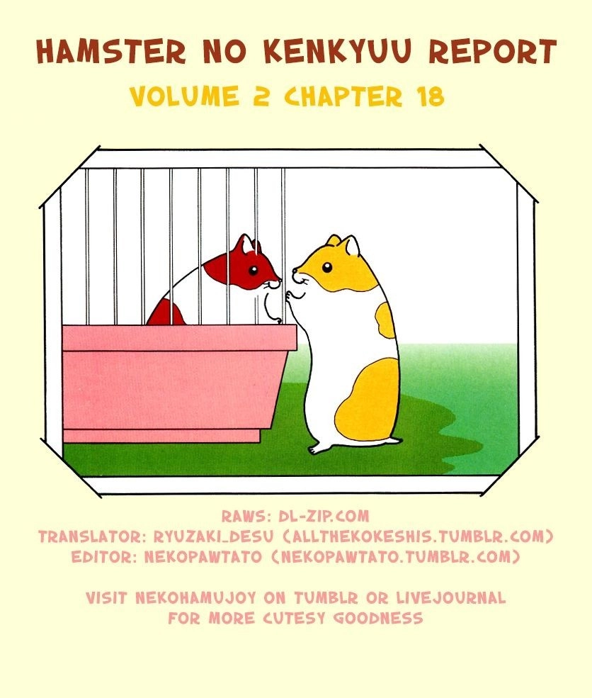 Hamster Chapter 18 17