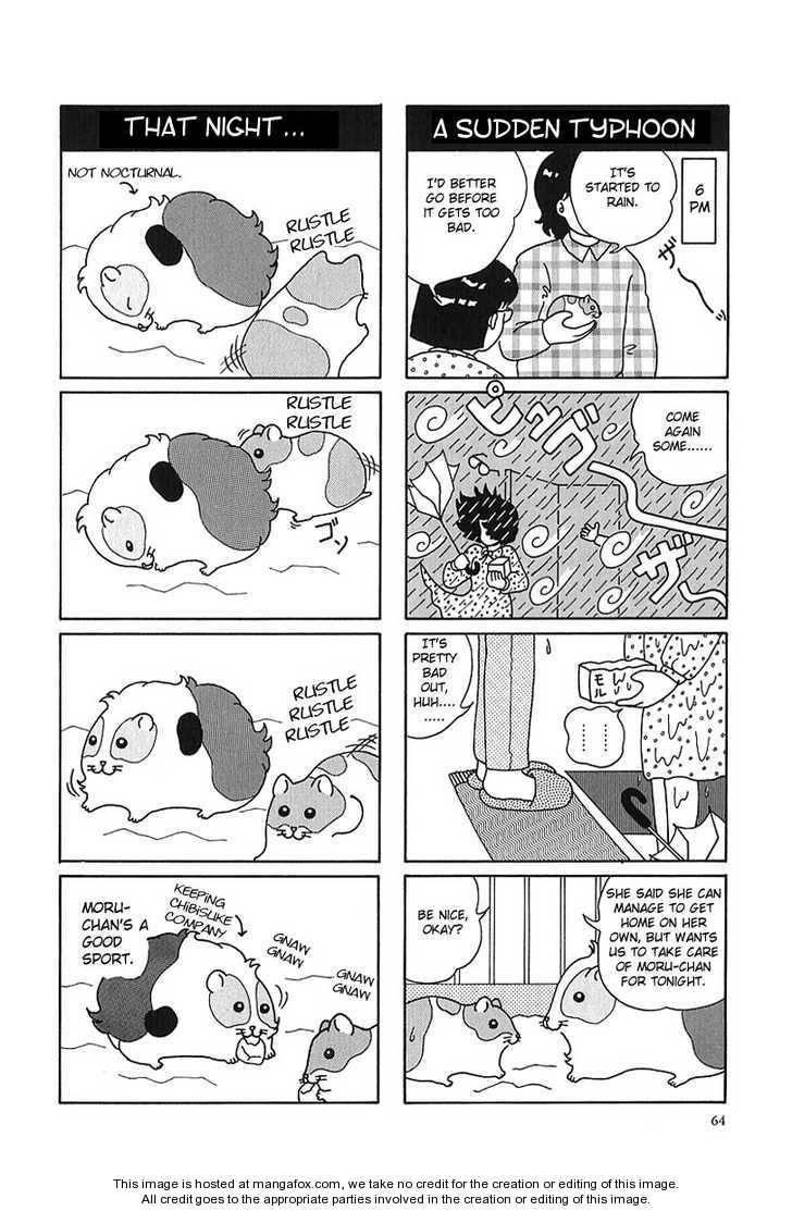 Hamster Chapter 7 8