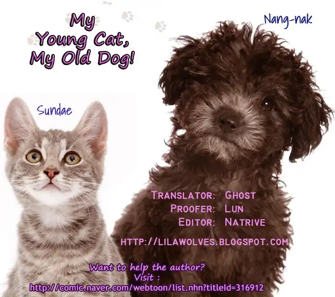My Young Cat and My Old Dog Chapter 17