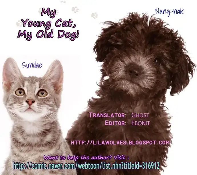 My Young Cat and My Old Dog Chapter 41
