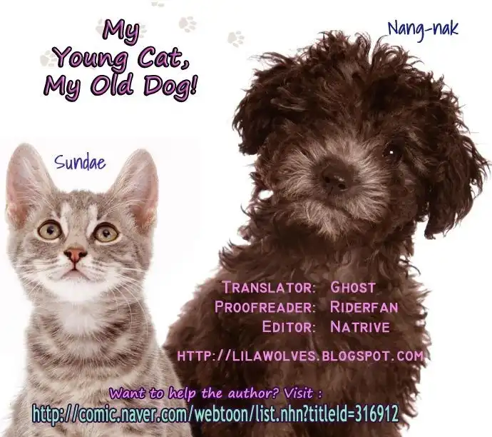 My Young Cat and My Old Dog Chapter 60