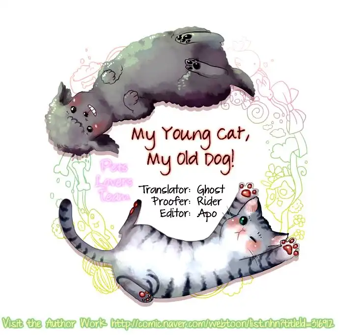 My Young Cat and My Old Dog Chapter 62