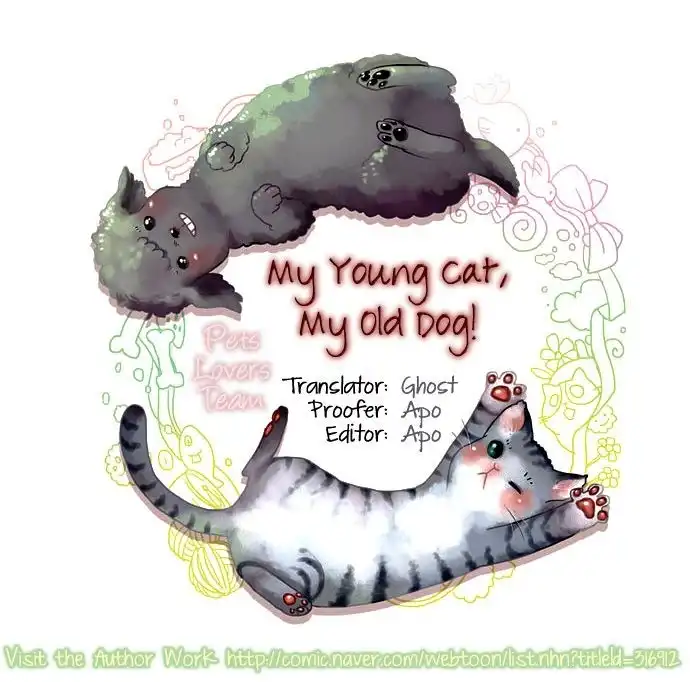 My Young Cat and My Old Dog Chapter 69