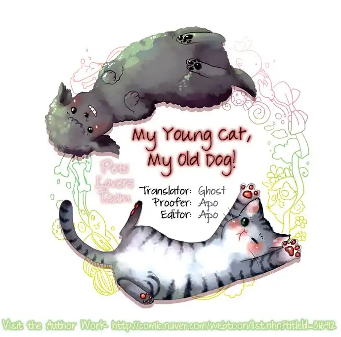 My Young Cat and My Old Dog Chapter 73