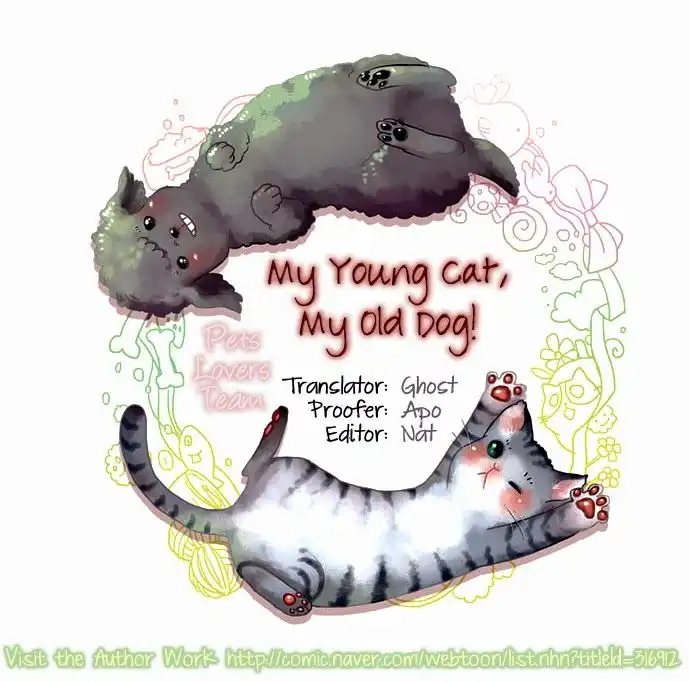 My Young Cat and My Old Dog Chapter 78