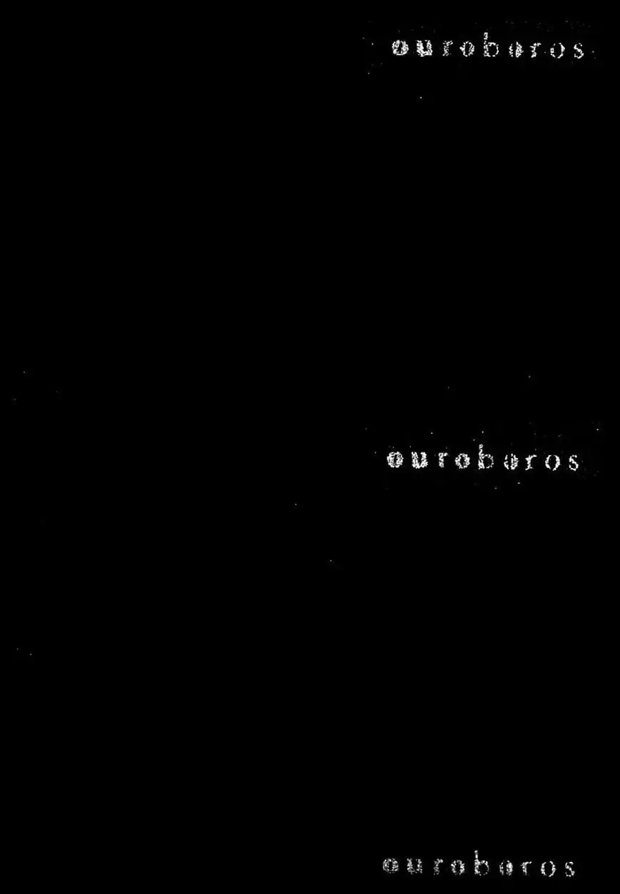 Ouroboros Chapter 63