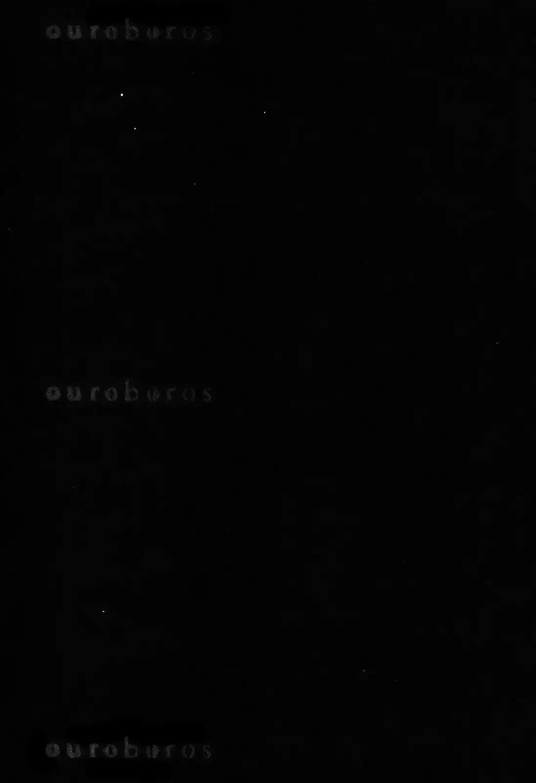 Ouroboros Chapter 73