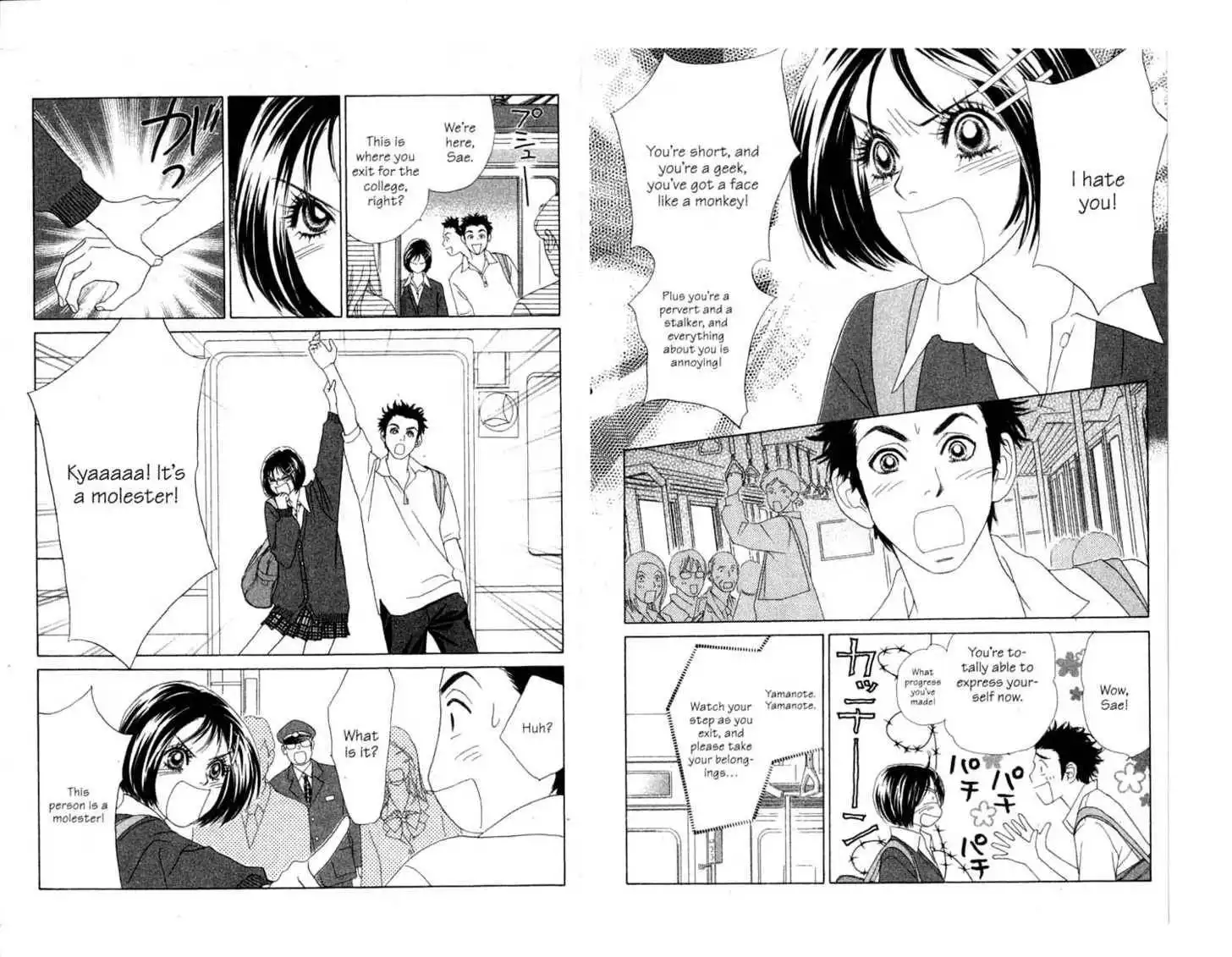 Peach Girl: Sae's Story Chapter 0