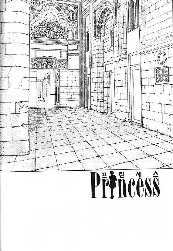 Princess Chapter 13