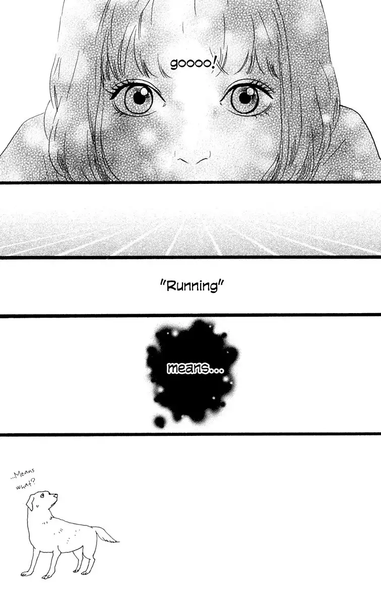 Principal Chapter 17