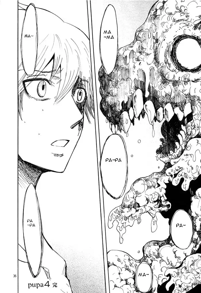 Pupa Chapter 26