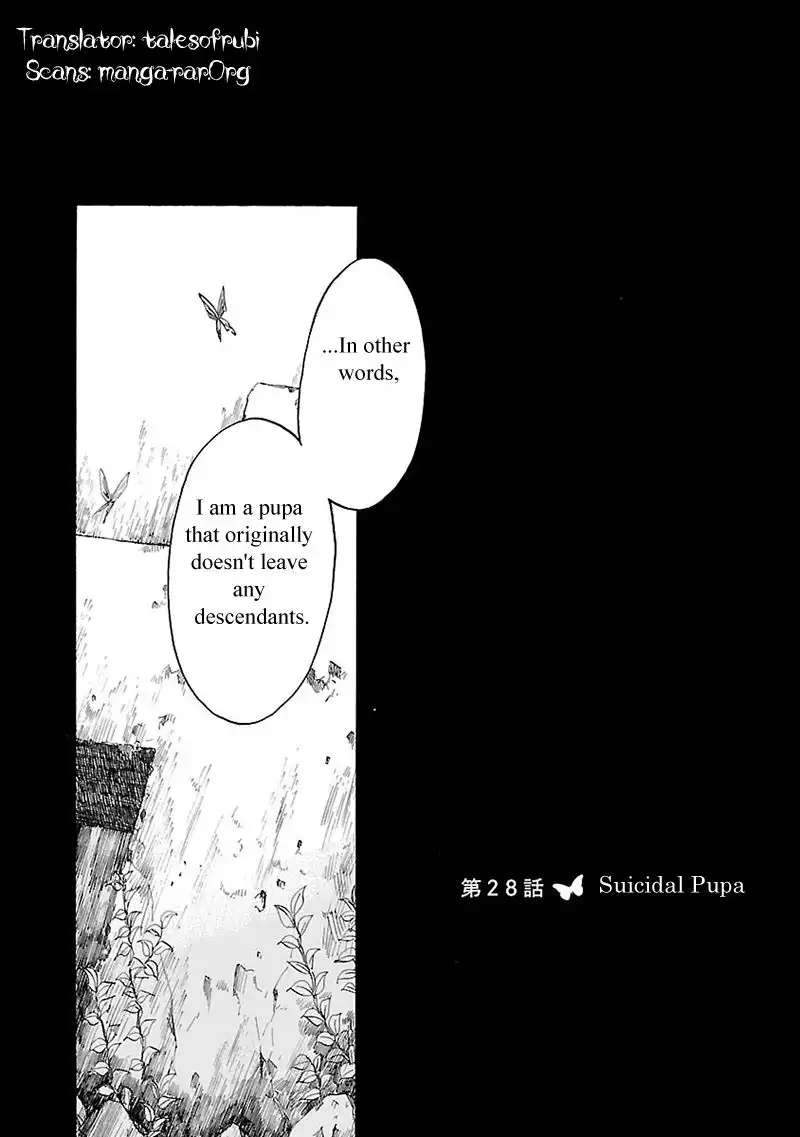 Pupa Chapter 28