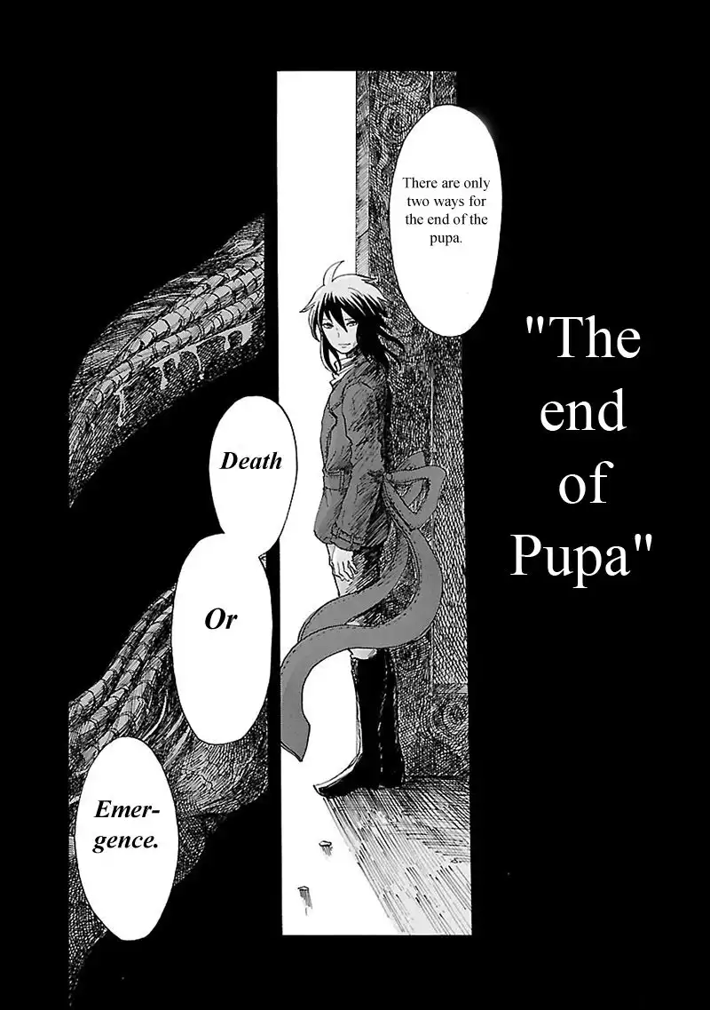 Pupa Chapter 32