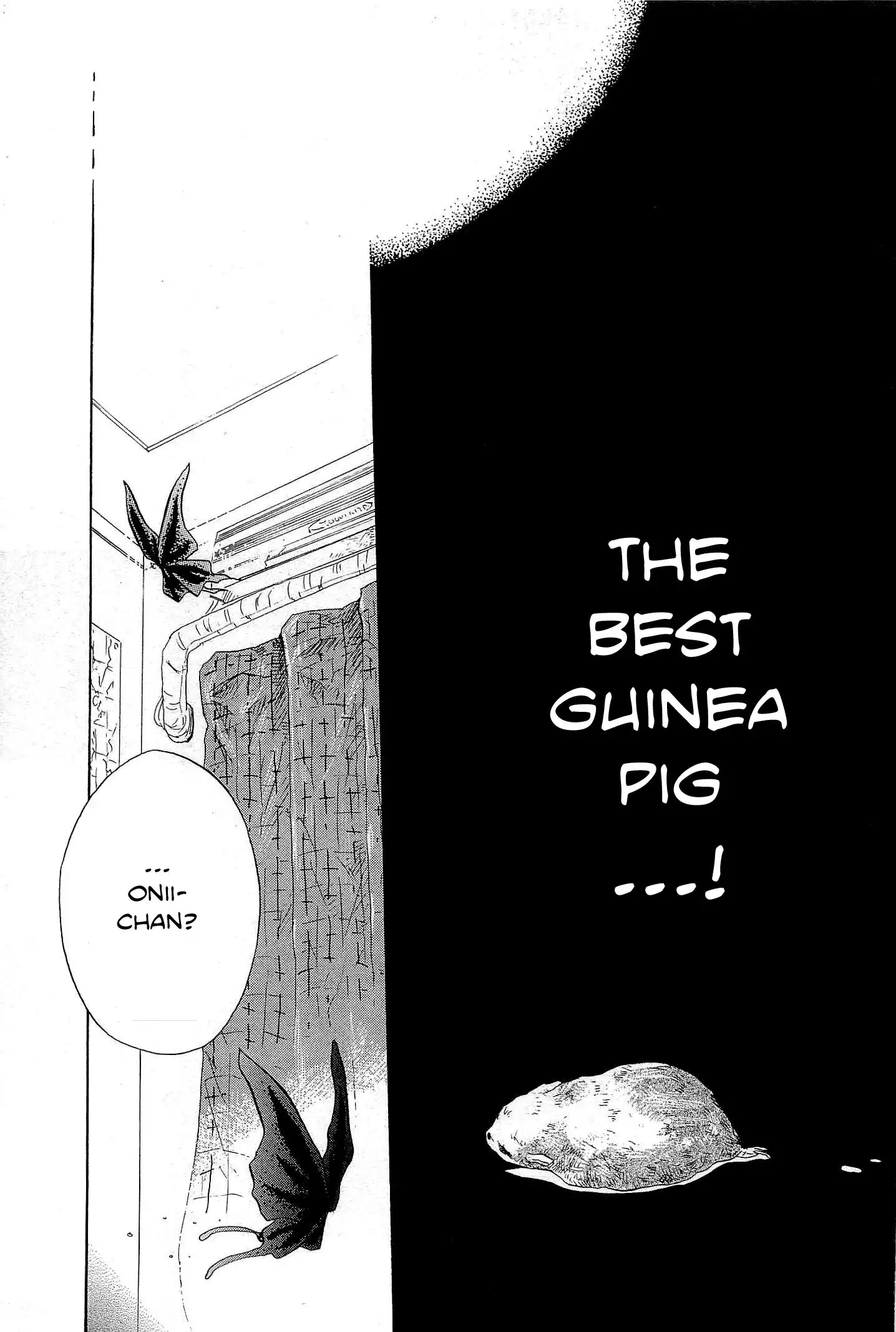 Pupa Chapter 4