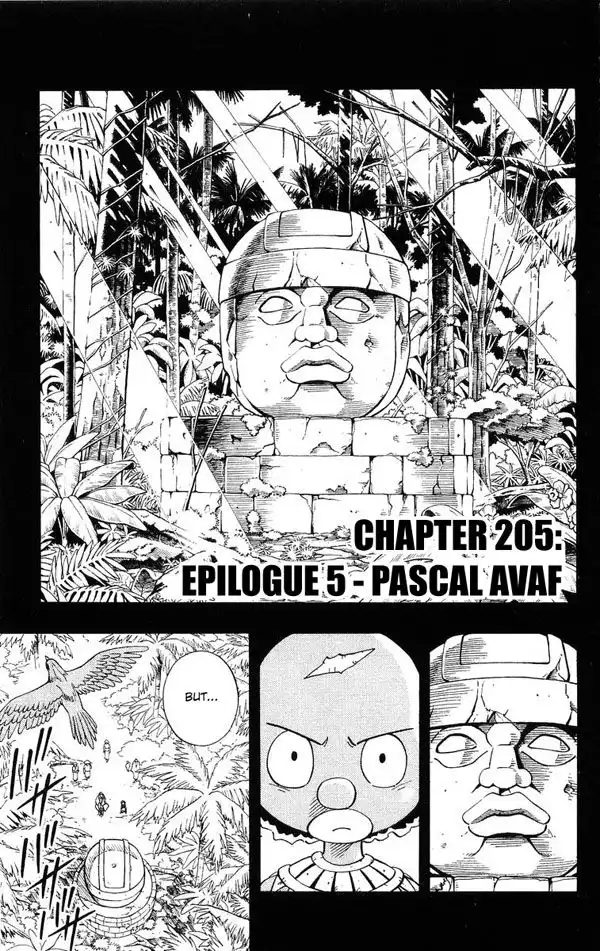 Shaman King Chapter 205