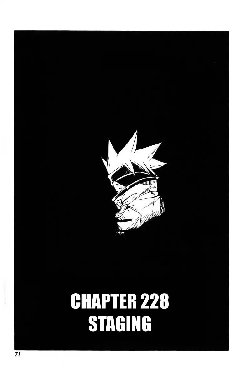 Shaman King Chapter 228